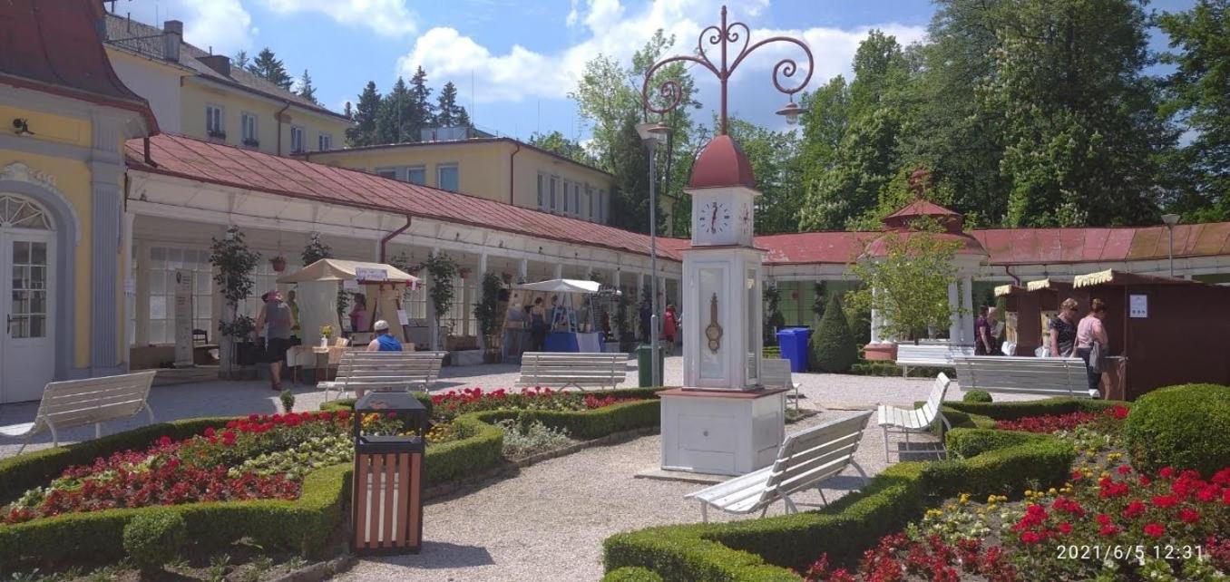 Apartmán SMRČEK Nove Mesto pod Smrkem Exterior foto